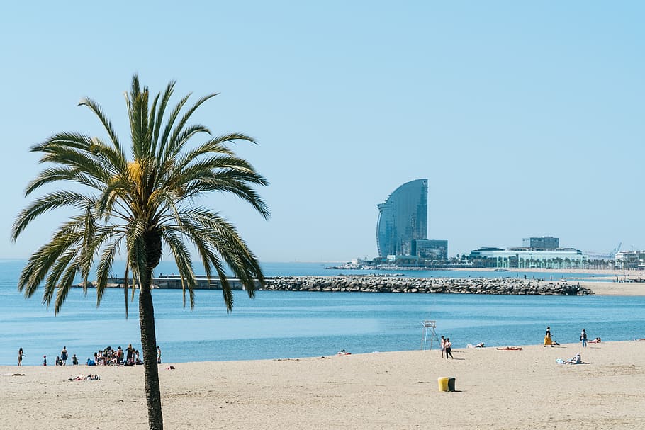spain-barcelona-barcelona-beach-beach