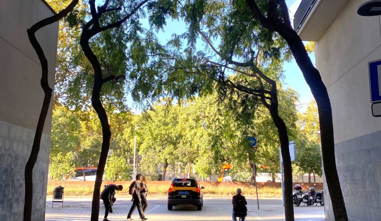 11b7e2e2-2650-45a2-b750-25c15e8a103f