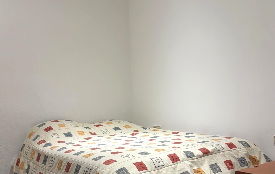 WhatsApp Image 2026-02-16 at 15.31.40 (3)